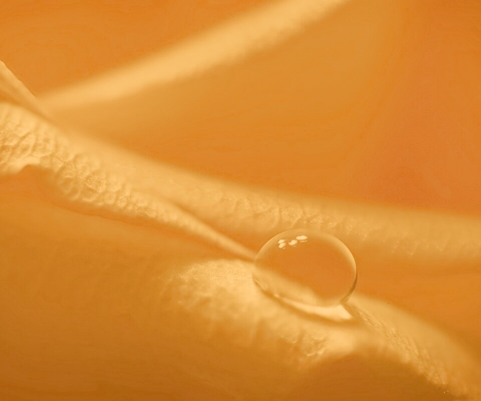 Капелька обои