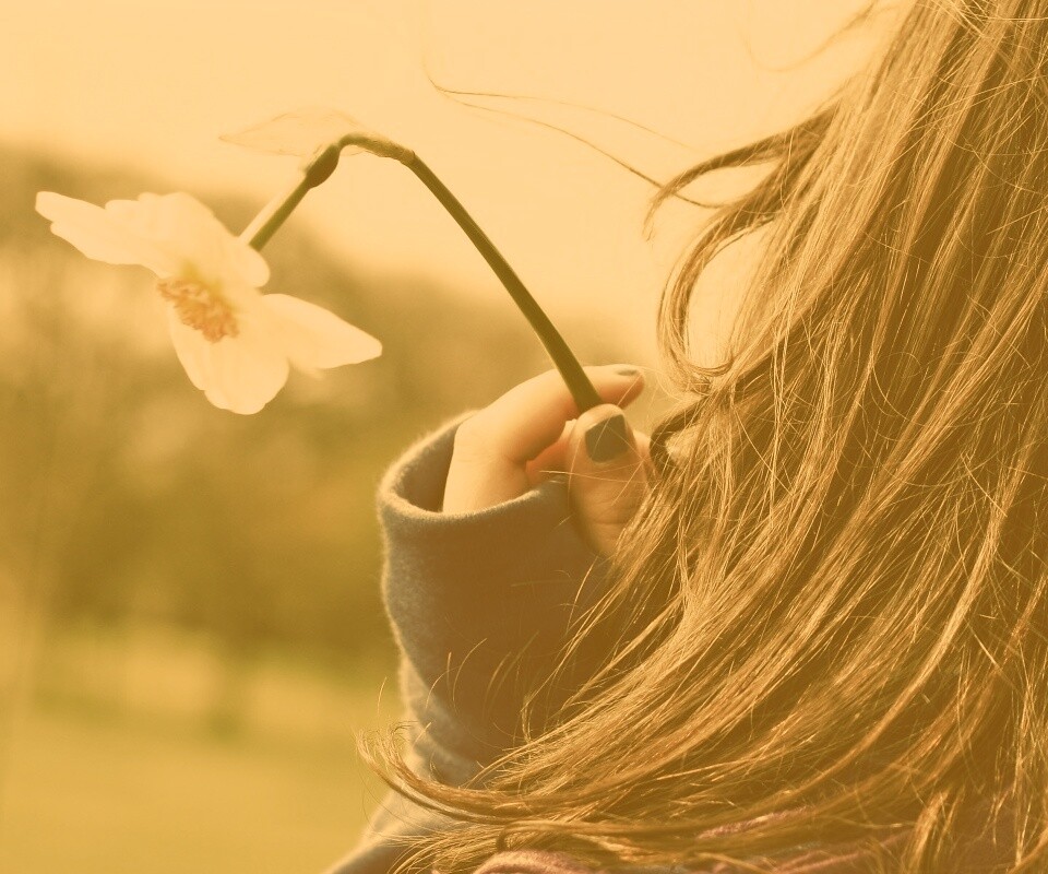 Девушка с нарциссом в руке обои