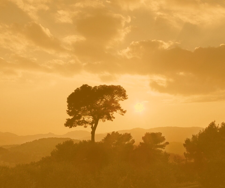 Закат над холмами обои