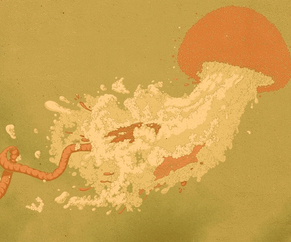 Розовая медуза обои