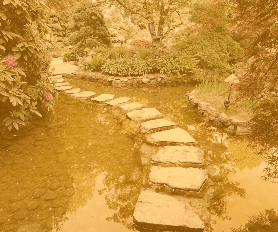 Дорожка через пруд обои