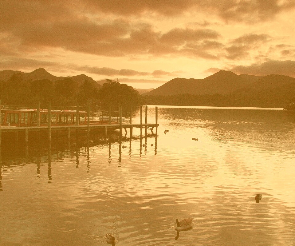 Причал на озере и утки обои