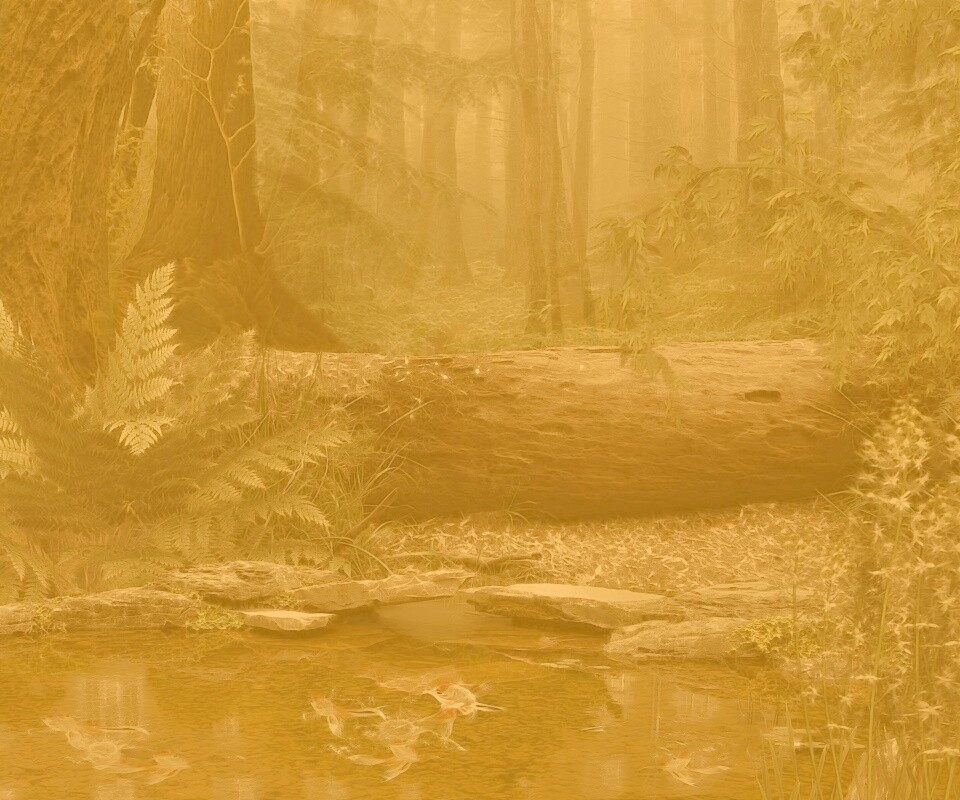 Лесной пейзаж обои