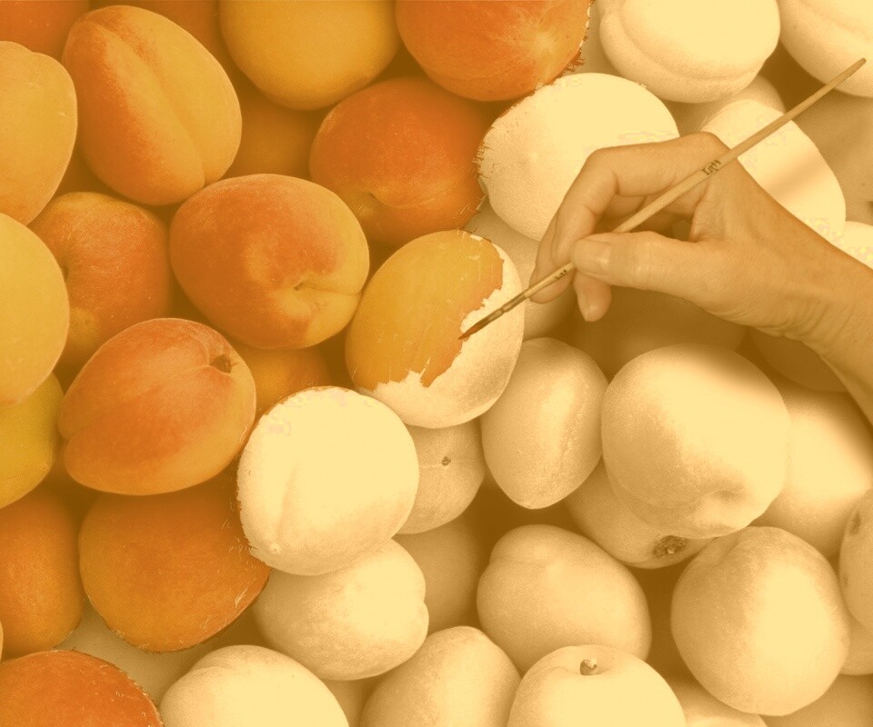 Крася абрикосы обои