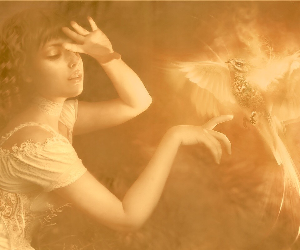 Феникс обои