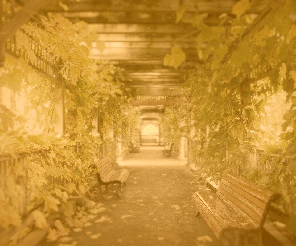 Узкая аллейка обои