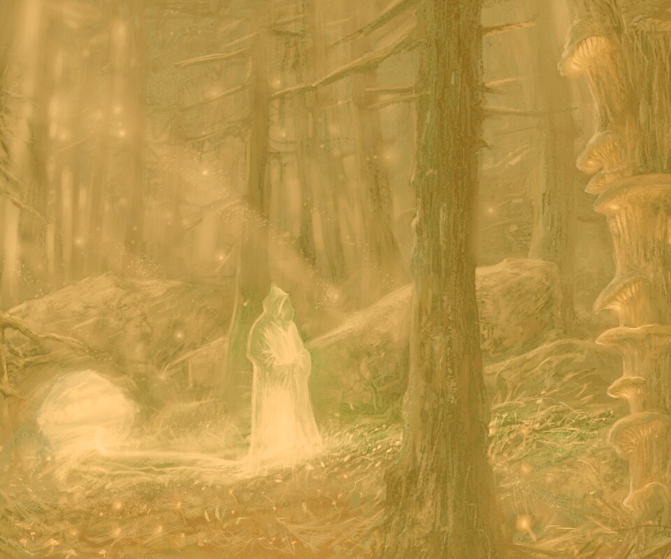 Маг света в лесу обои
