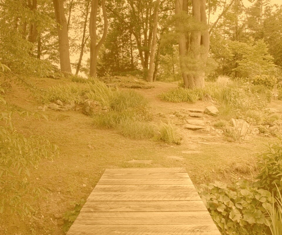 Лесные тропы обои