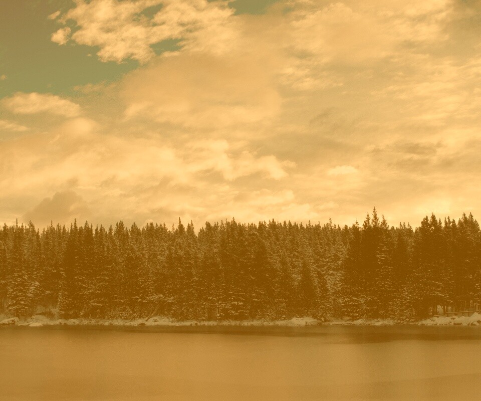 Лес на озере обои