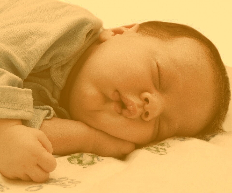 Спящая прелесть обои