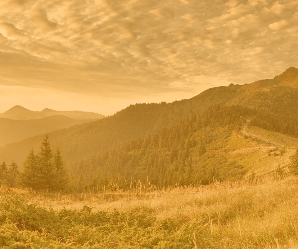 Предгорье обои