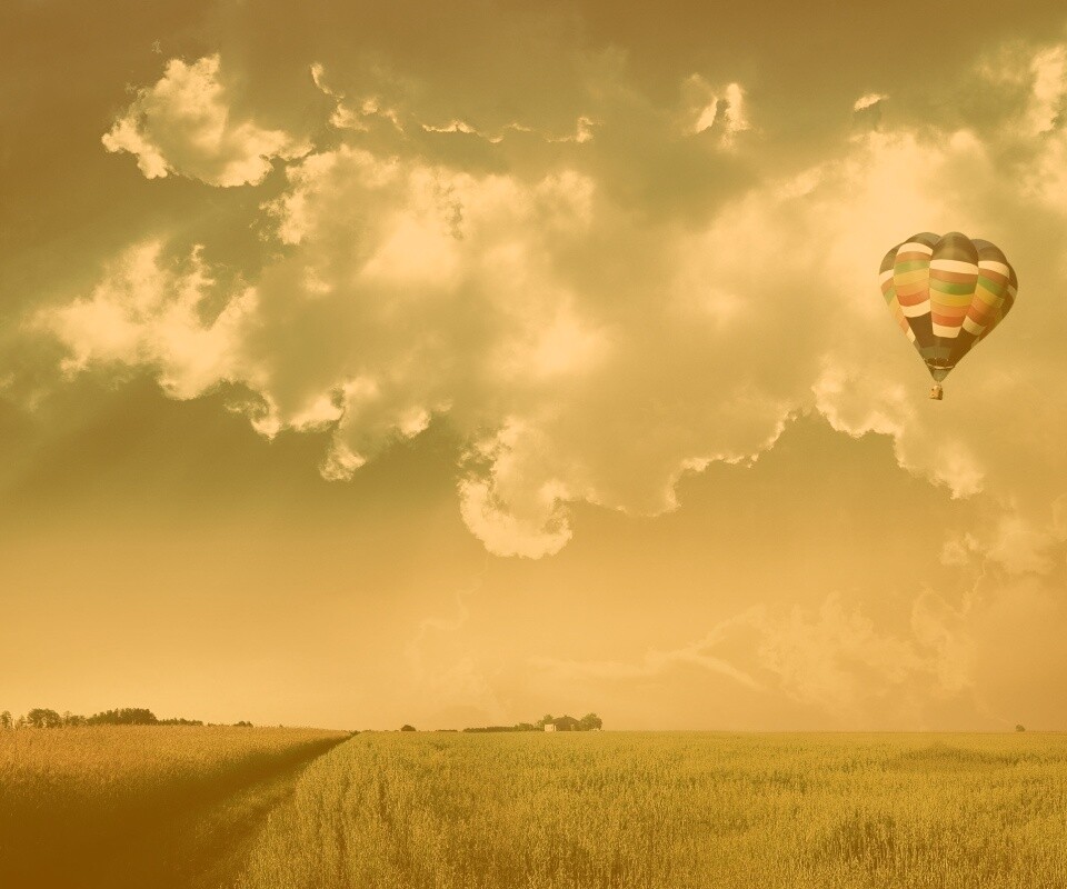 Воздушный шар над зеленым лугом обои