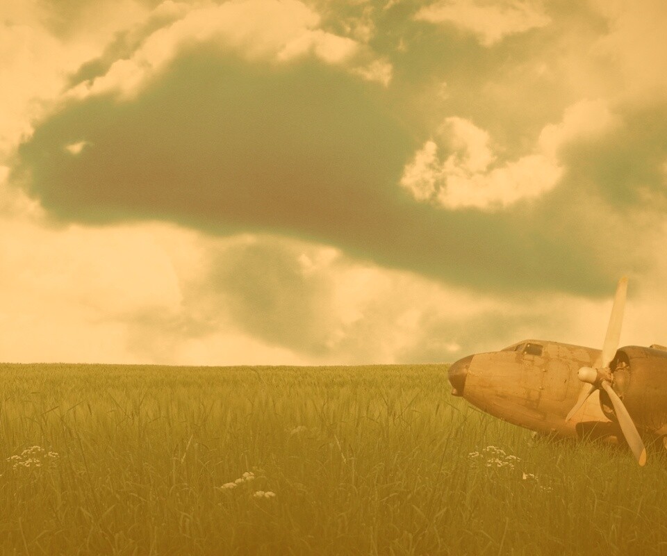 Старый ржавый самолет на лугу обои