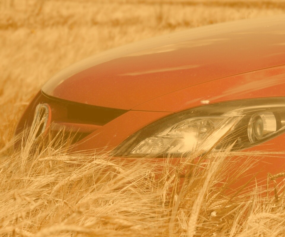 Мазда в пшенице обои