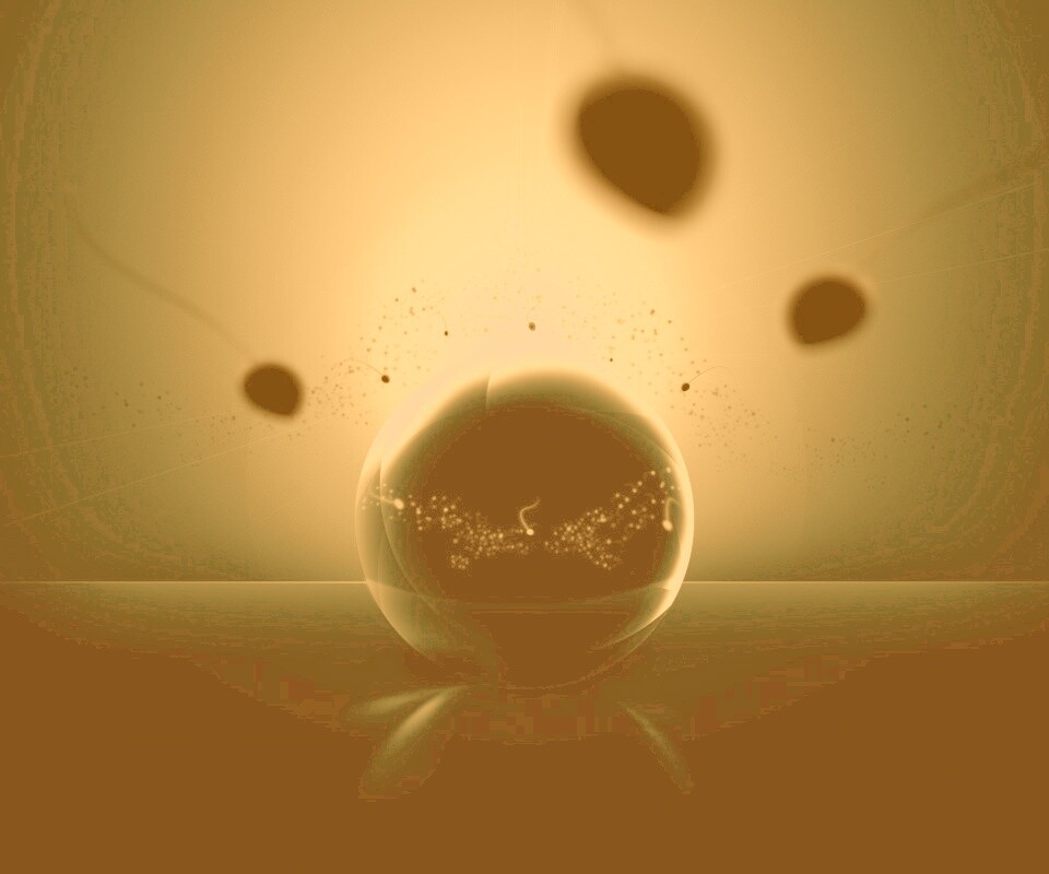 Оплодотворение обои