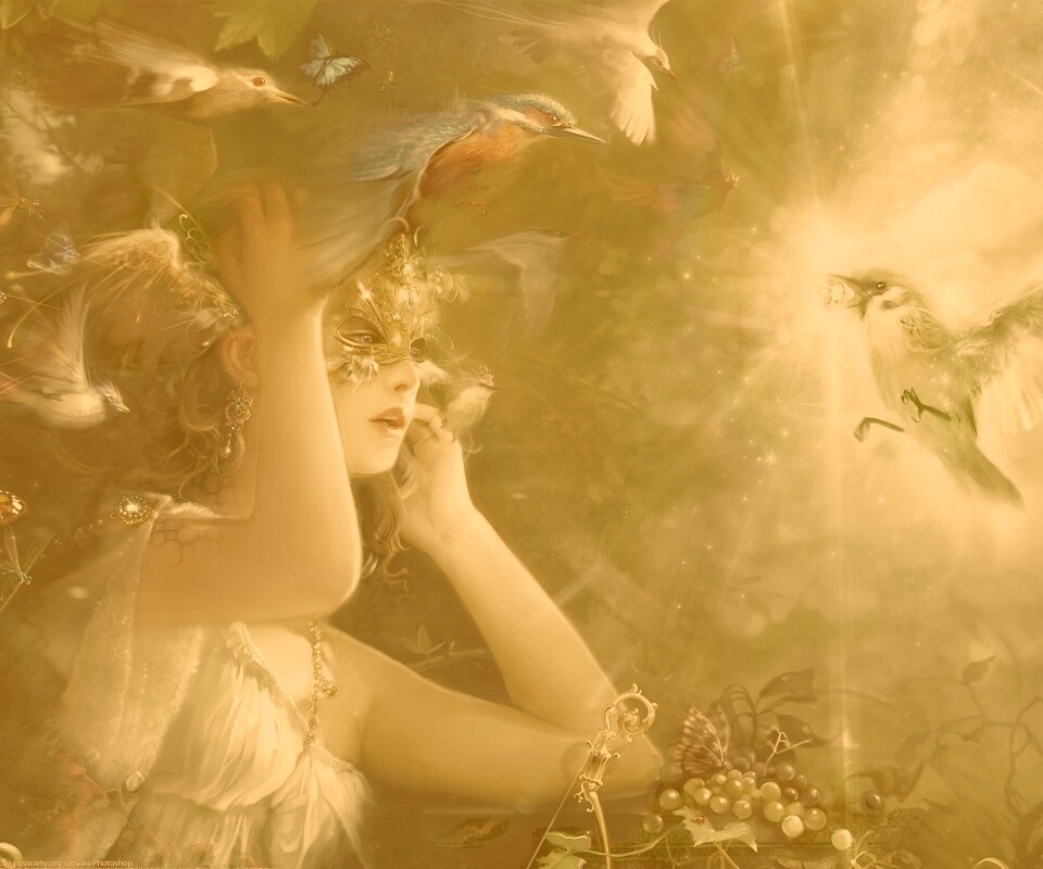 Птицы счастья обои