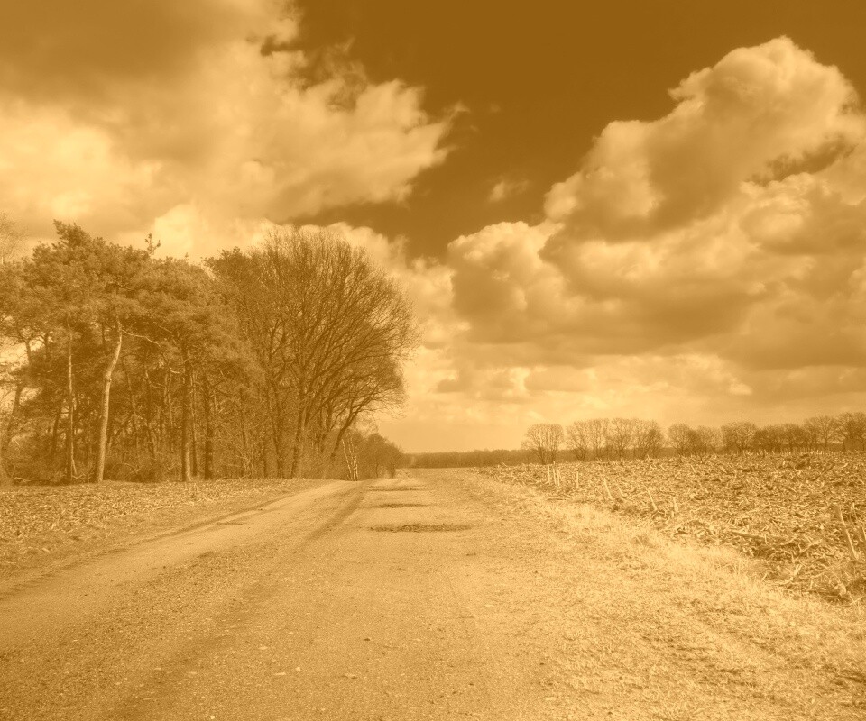 Дорога через поле обои