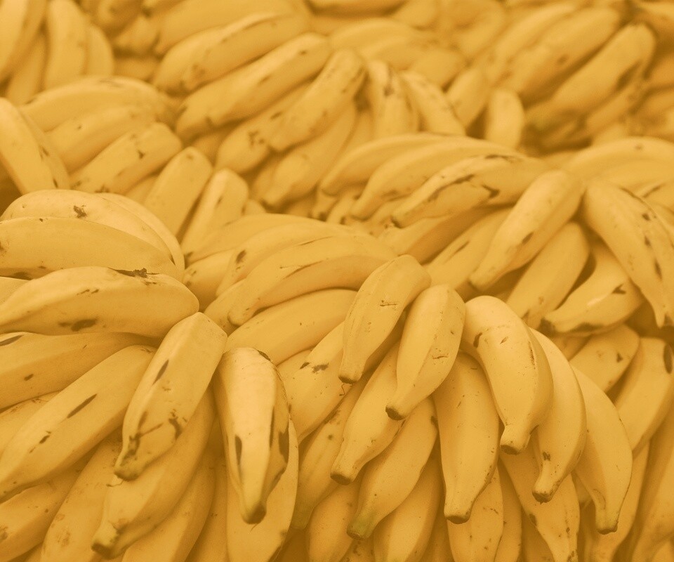 Банананашки обои