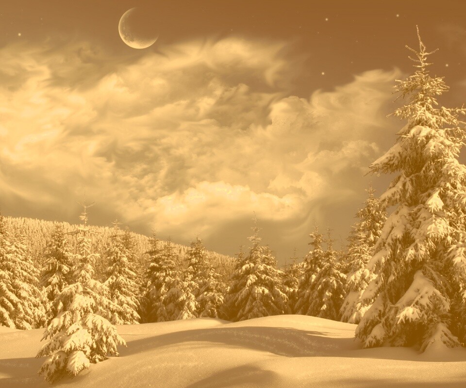 Зимний еловый лес обои