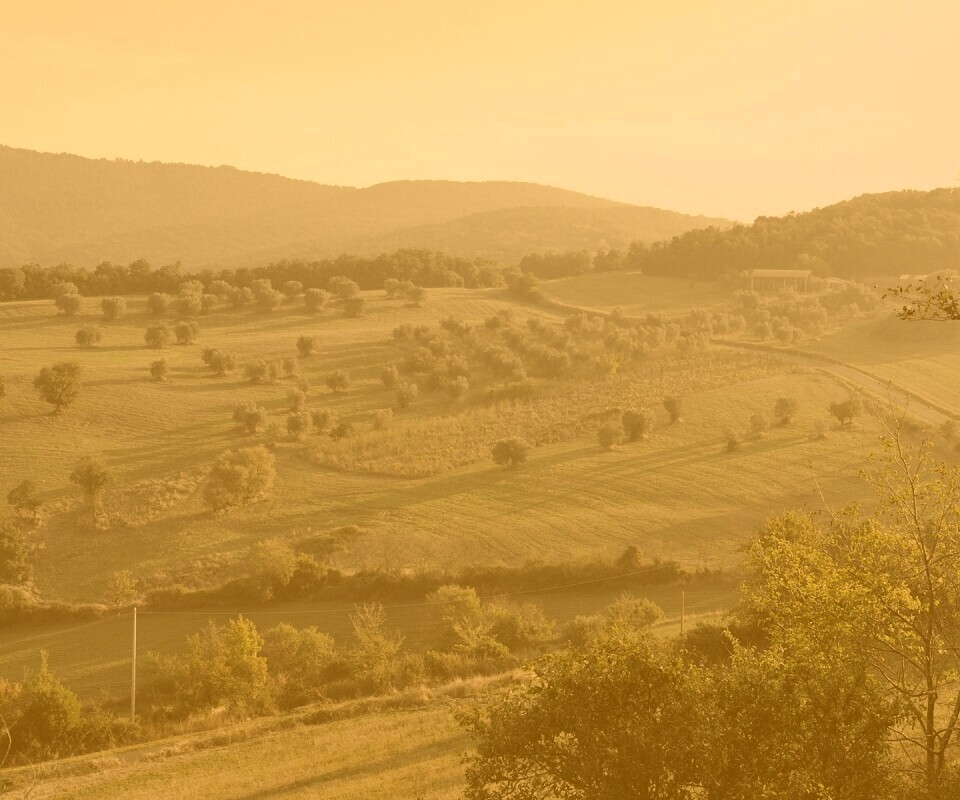 Ферма в долине обои