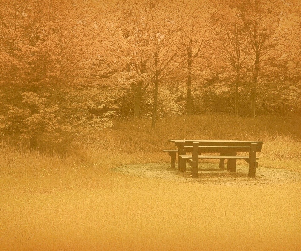 Осенние краски обои