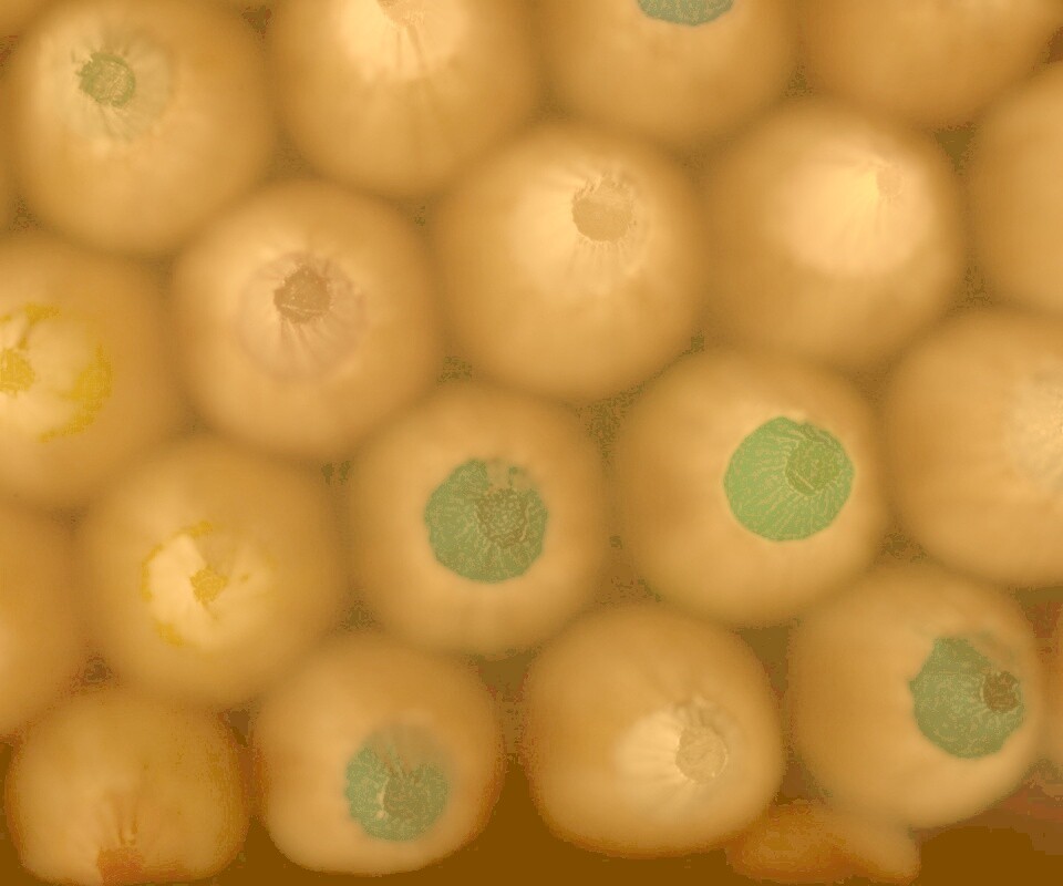 Карандаши обои