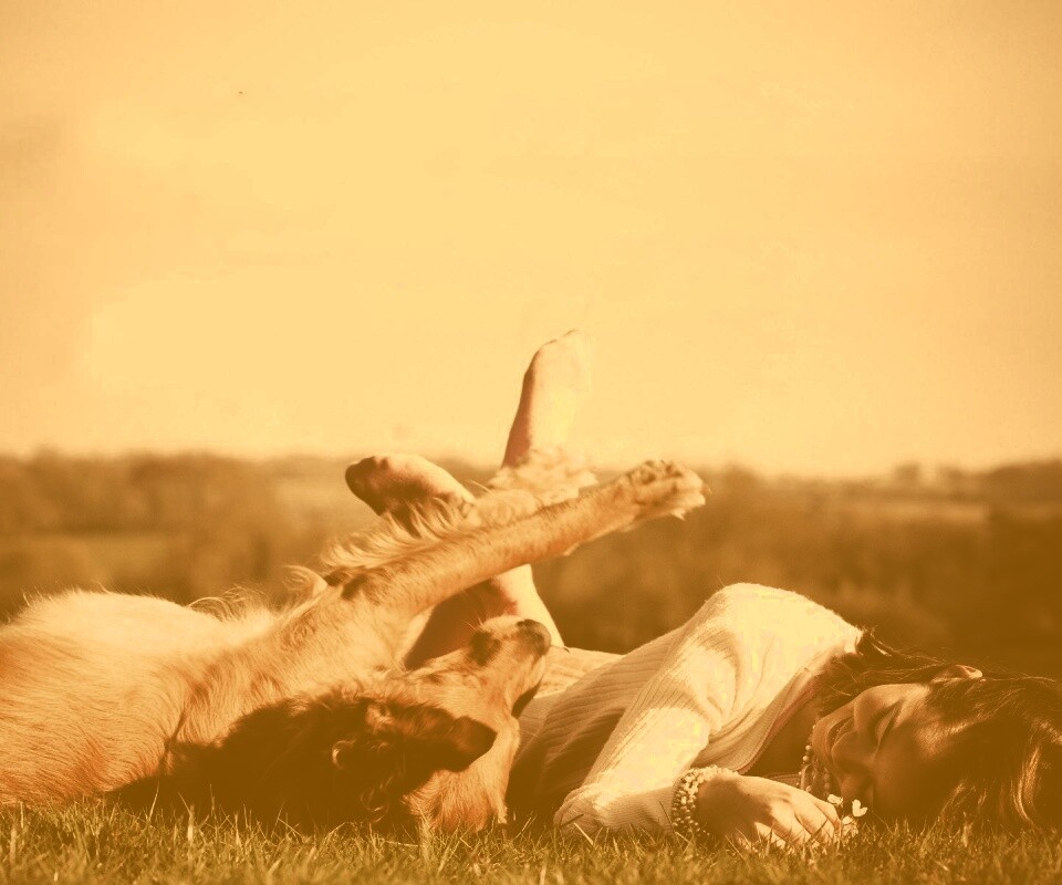 Девушка и собака валяются на траве обои