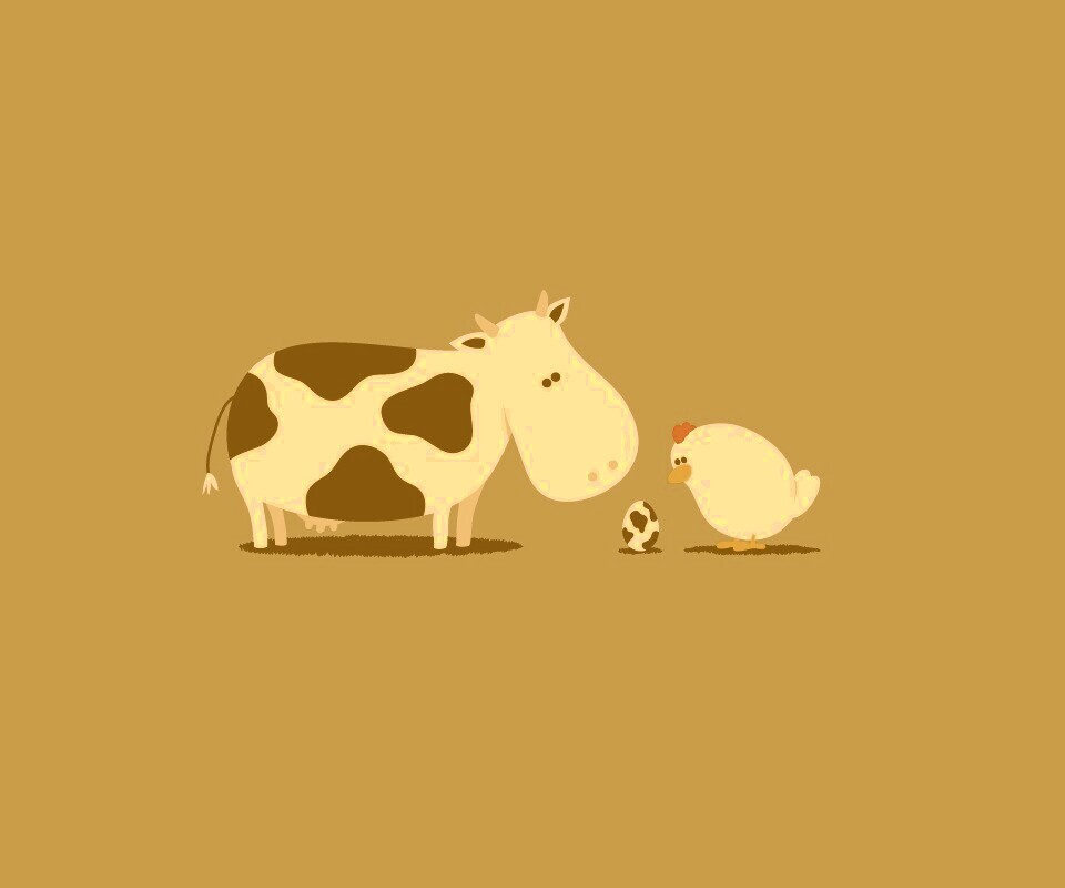 Конфуз обои