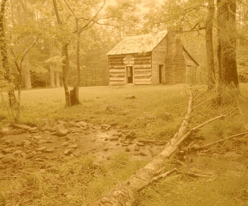 Домик в лесу обои