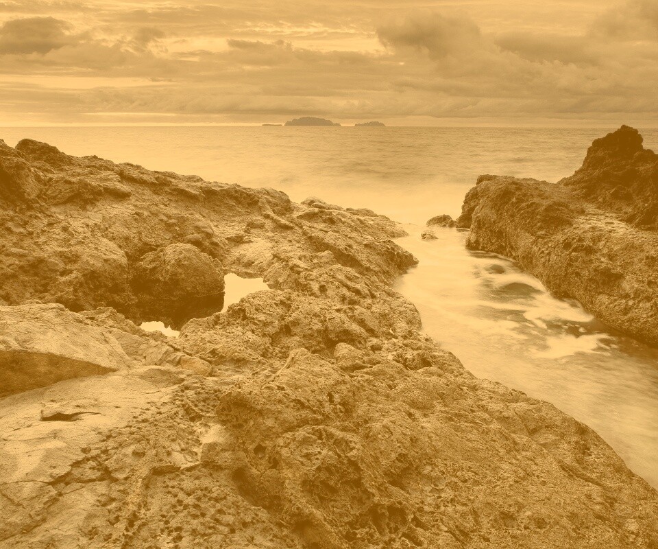 Река впадающая в море обои