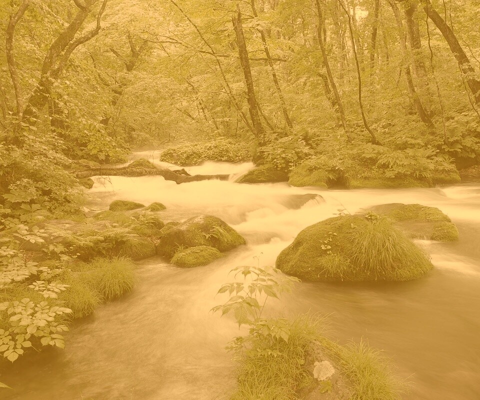 Лесная река обои