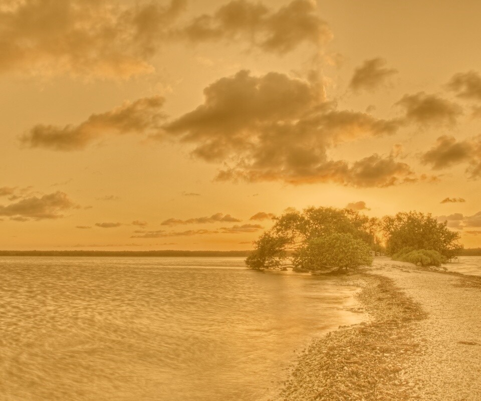 Побережье на закате обои