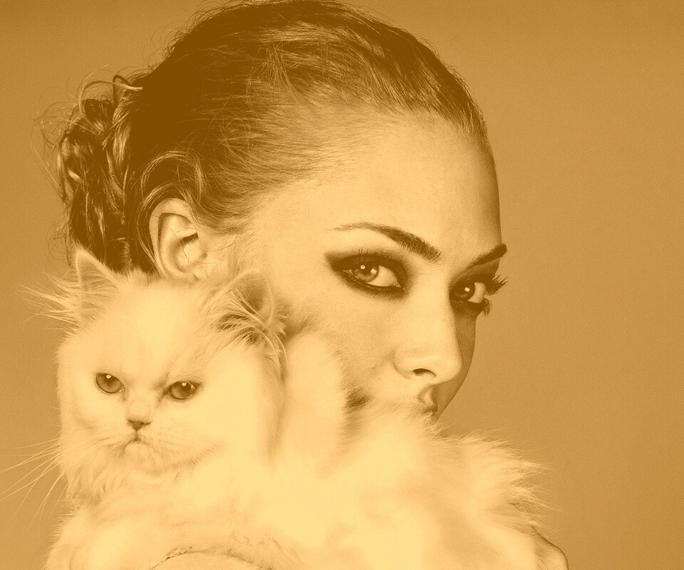 Девушка с кошкой обои