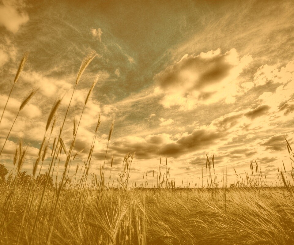 HDR Поле обои