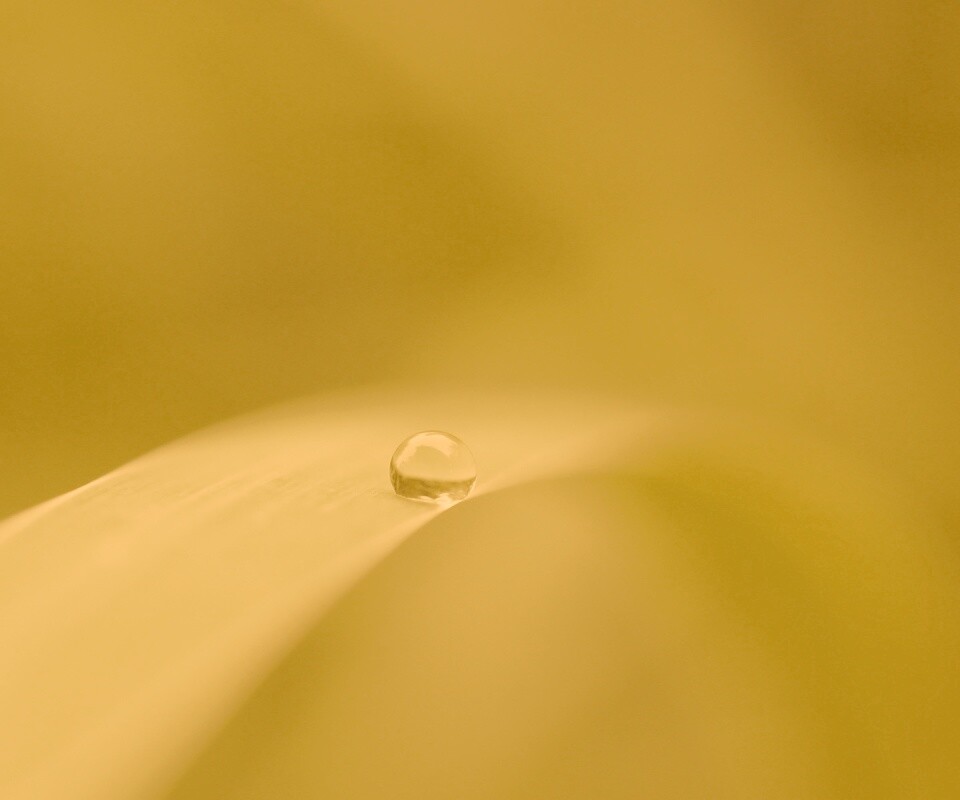 Капелька воды обои