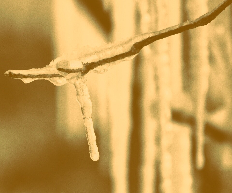 Сосуля обои