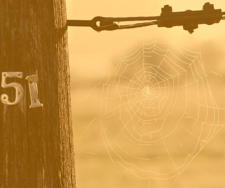 Паутина 51 обои