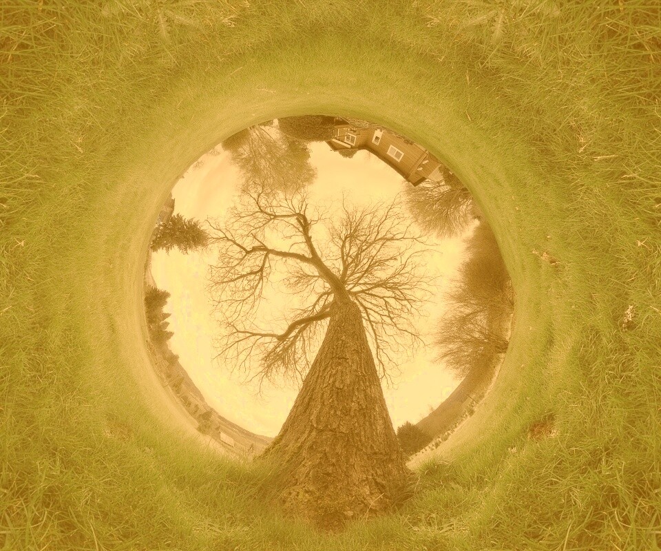 Другой взгляд на мир обои