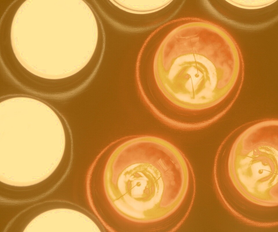 Маленькие лампочки обои