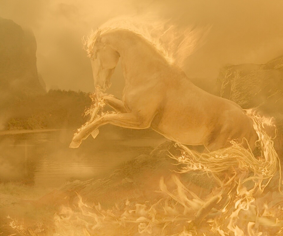 Огненный скакун обои