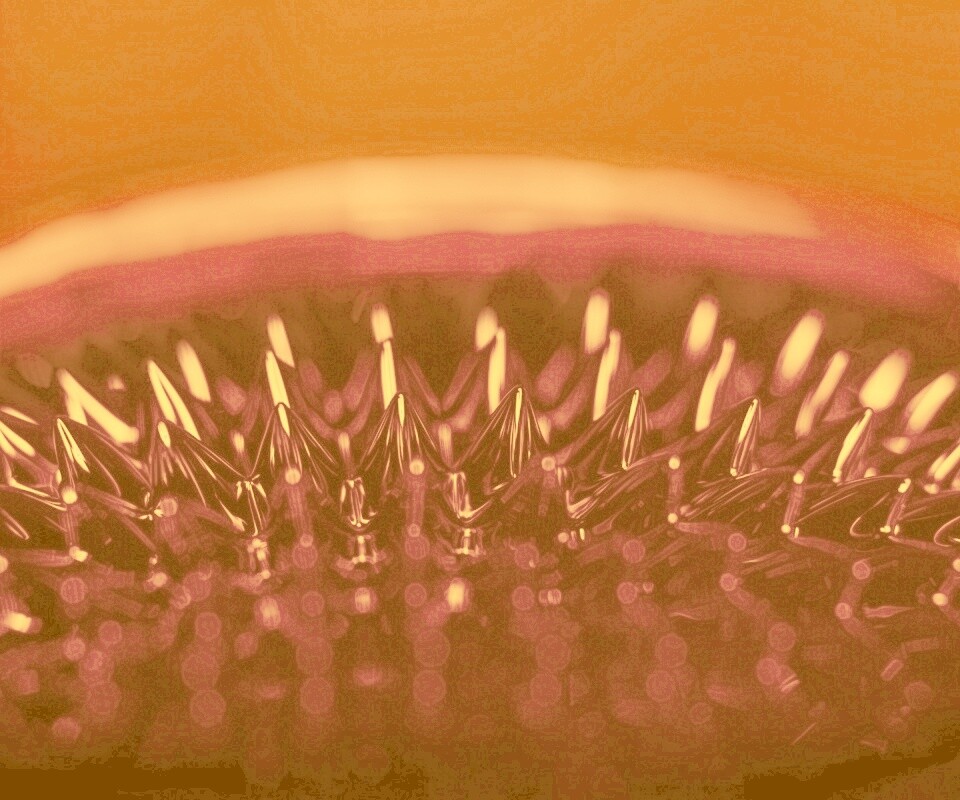 Игры с магнитной жидкостью обои