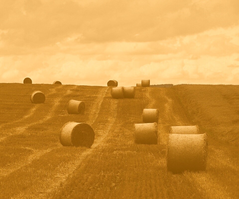 Уборка сена с поля обои