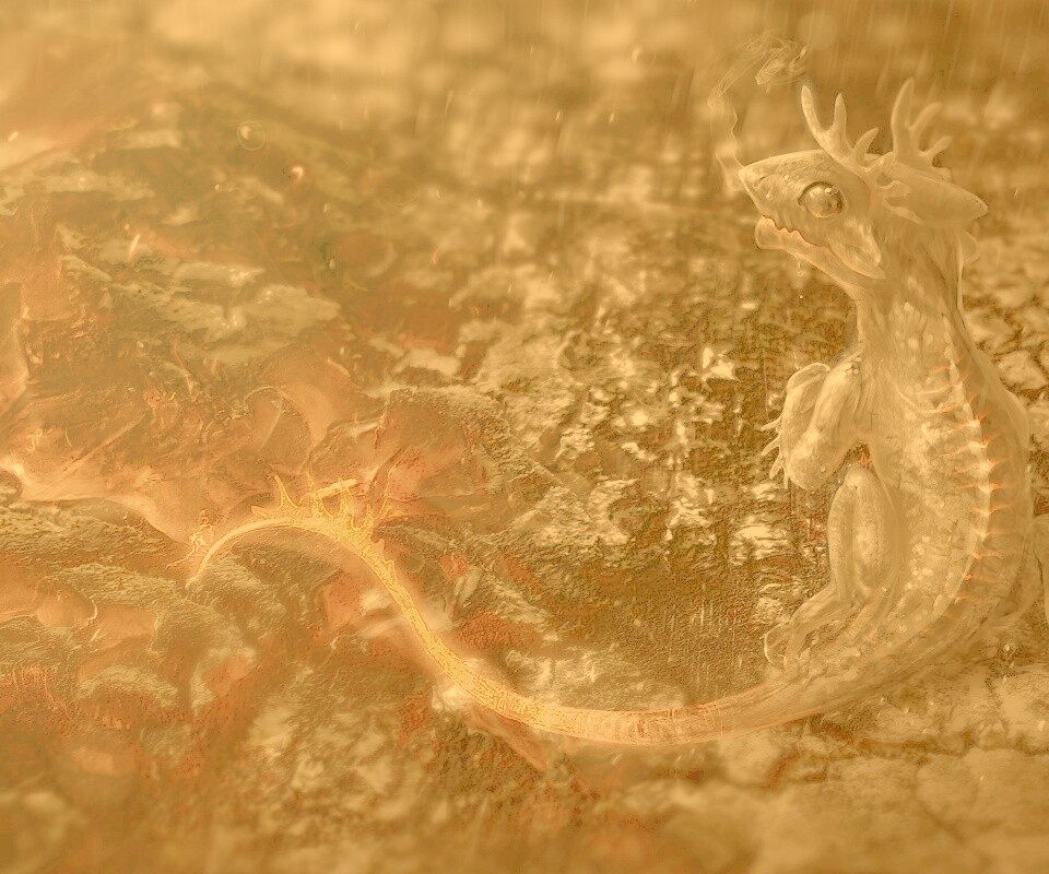 Огненный дракончик обои