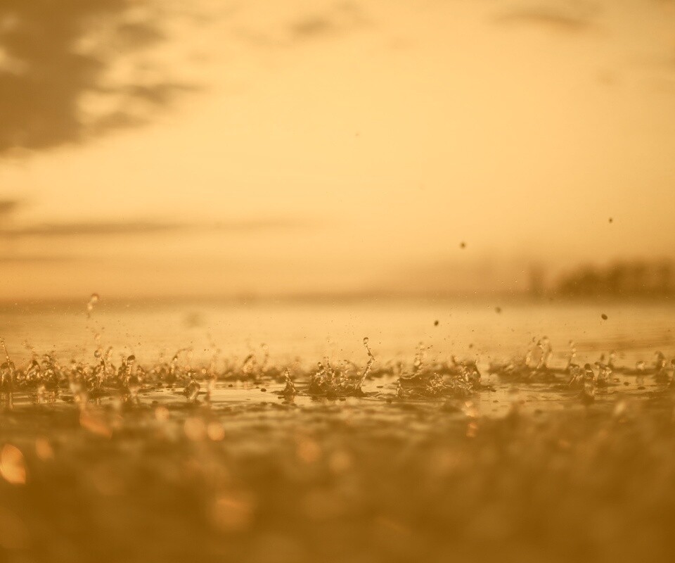 Дождь в макро обои