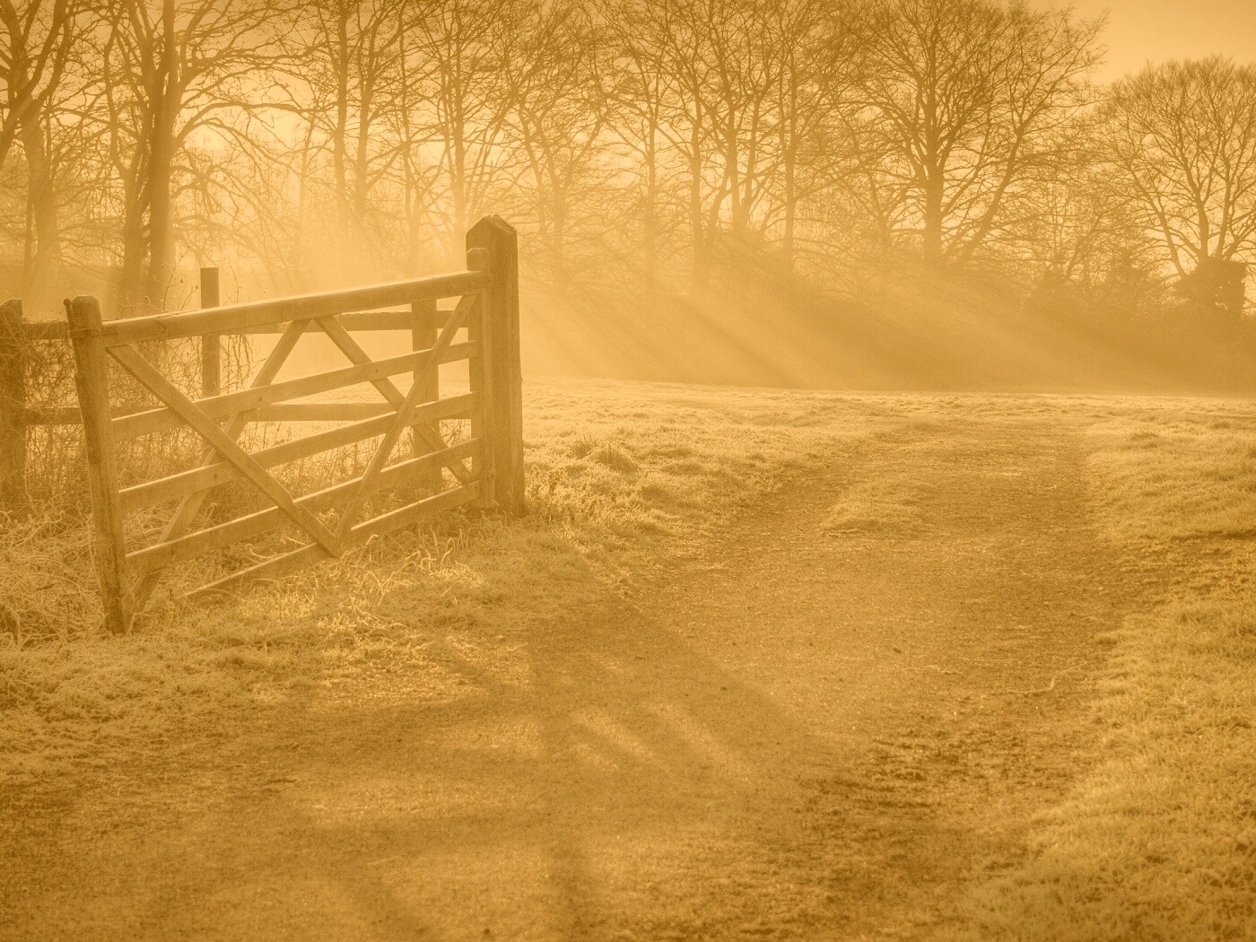 Открытые ворота обои