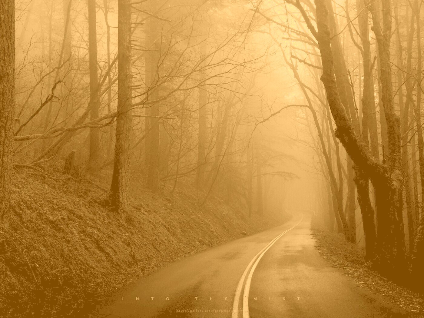 В туман обои