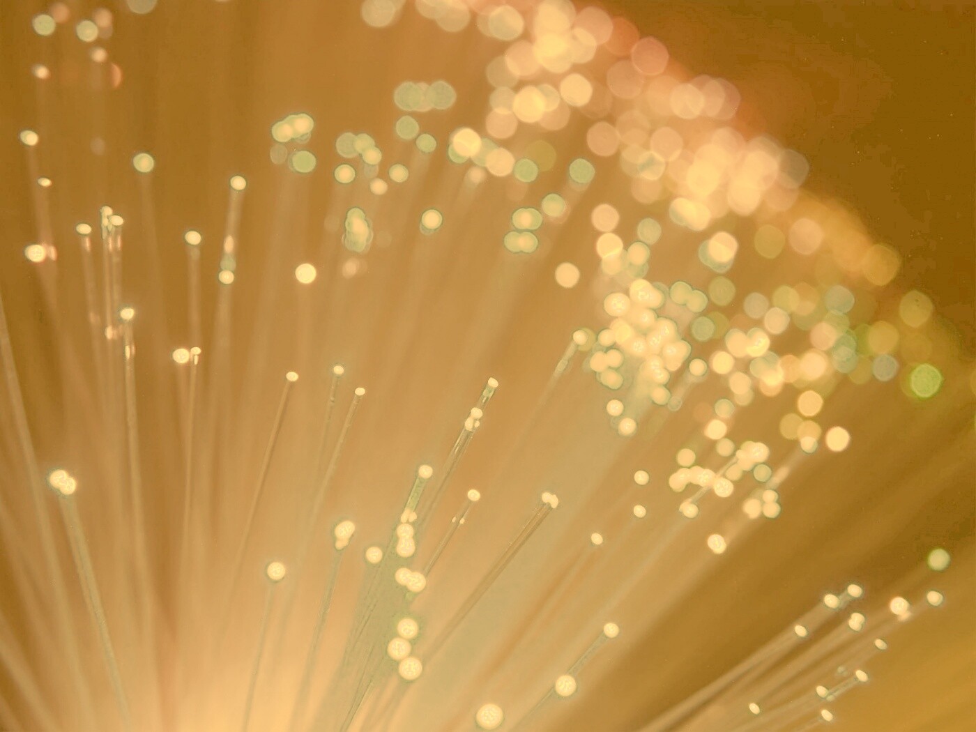 Огоньки на оптоволокне обои