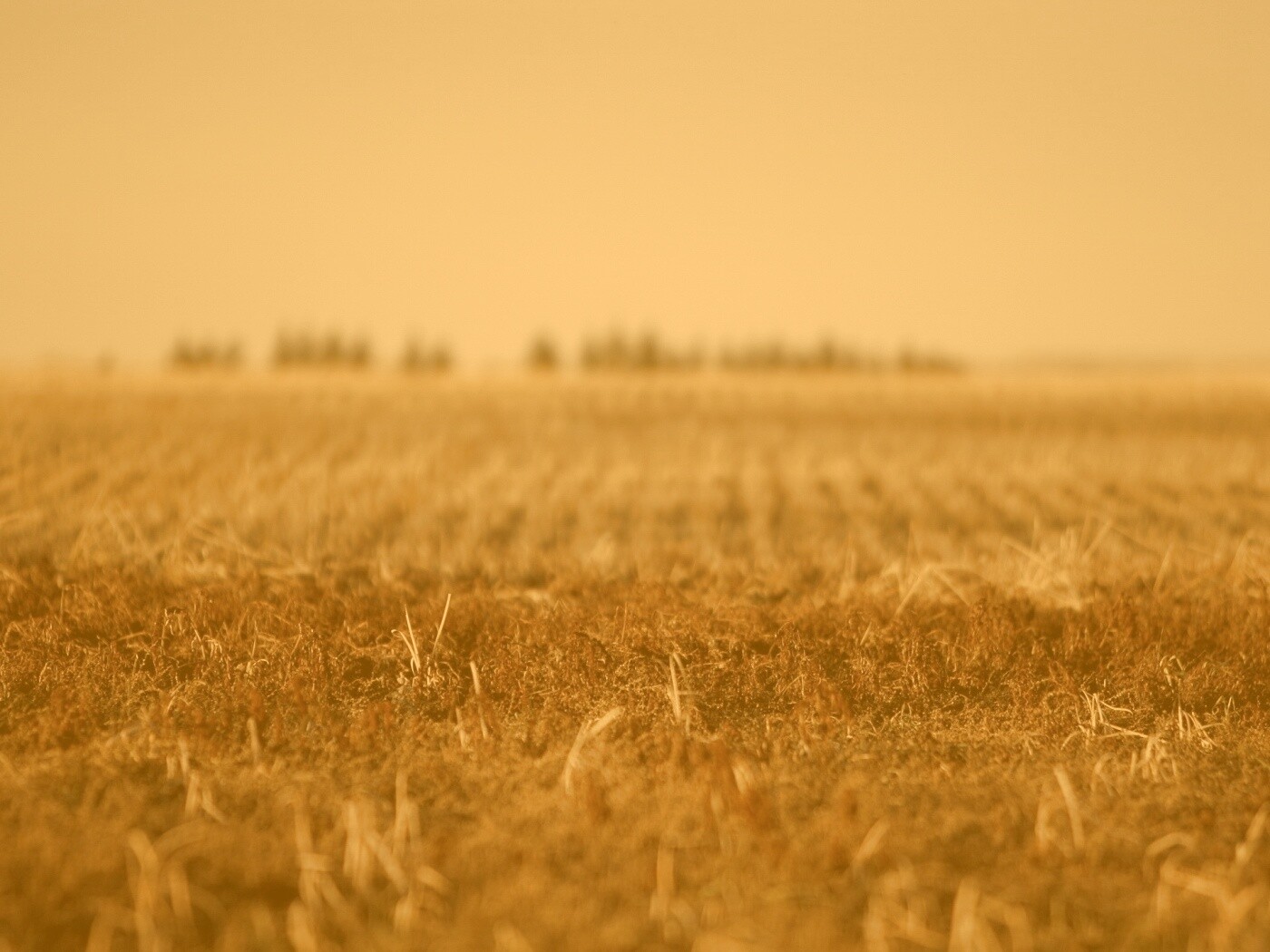 Поле перед вспашкой обои
