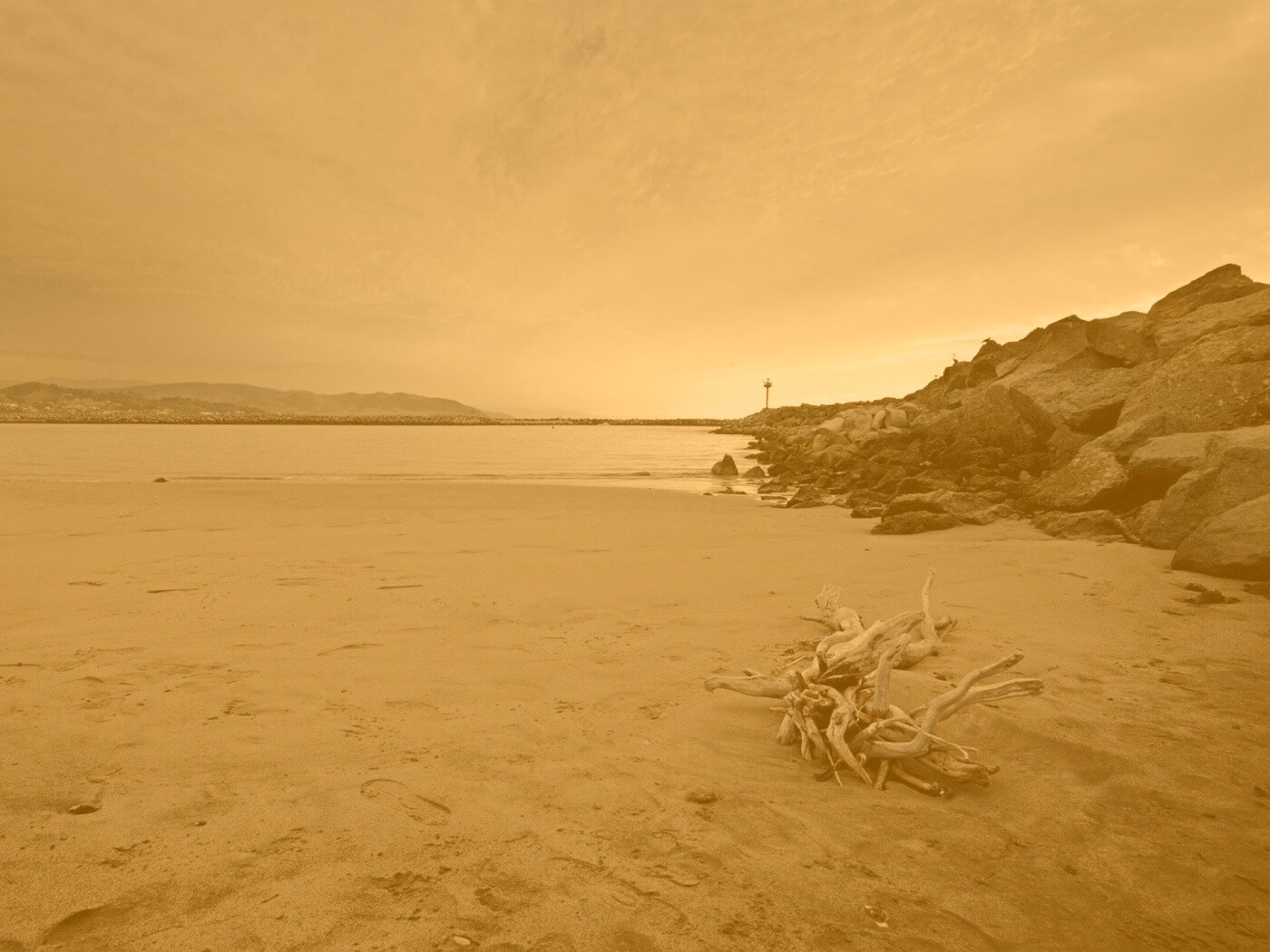 Коряга не берегу обои