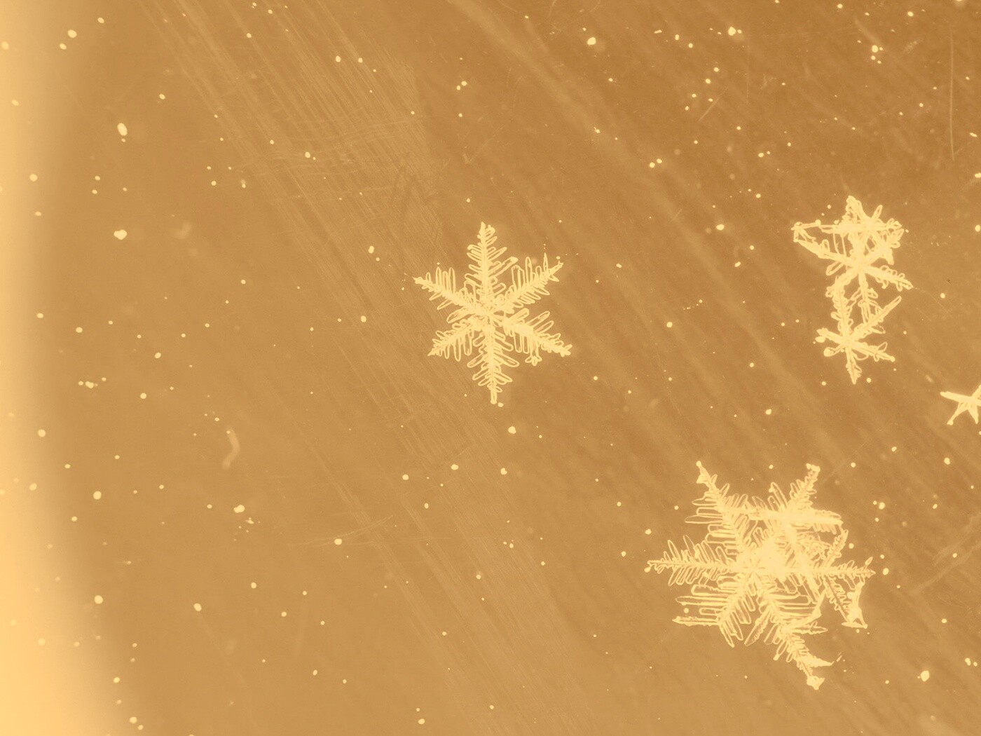 Снежинки обои